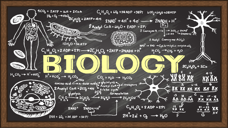 biologyFeature-f48e117d