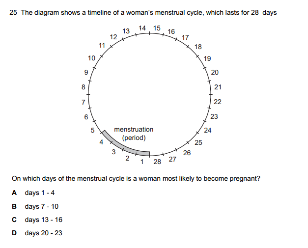 menstruation