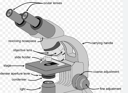 microspes