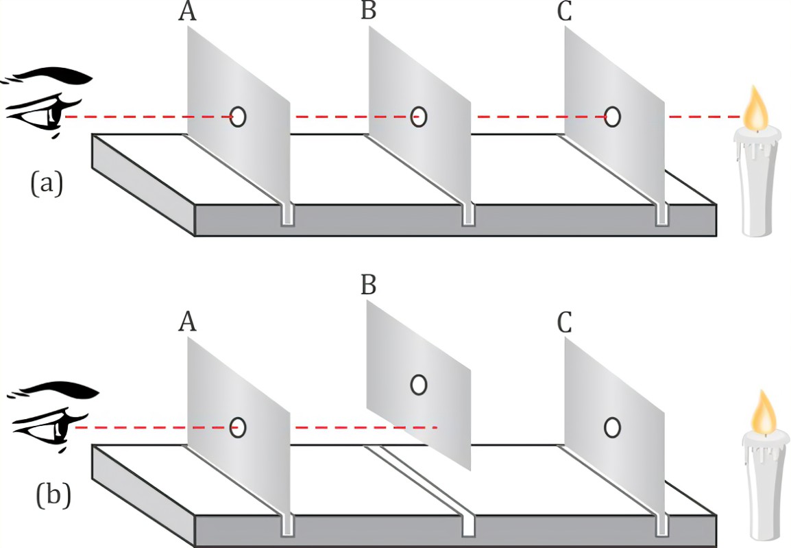 image showing principle of light propagation