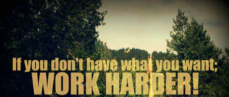 image with words reading, if you don't have what you want, work harder